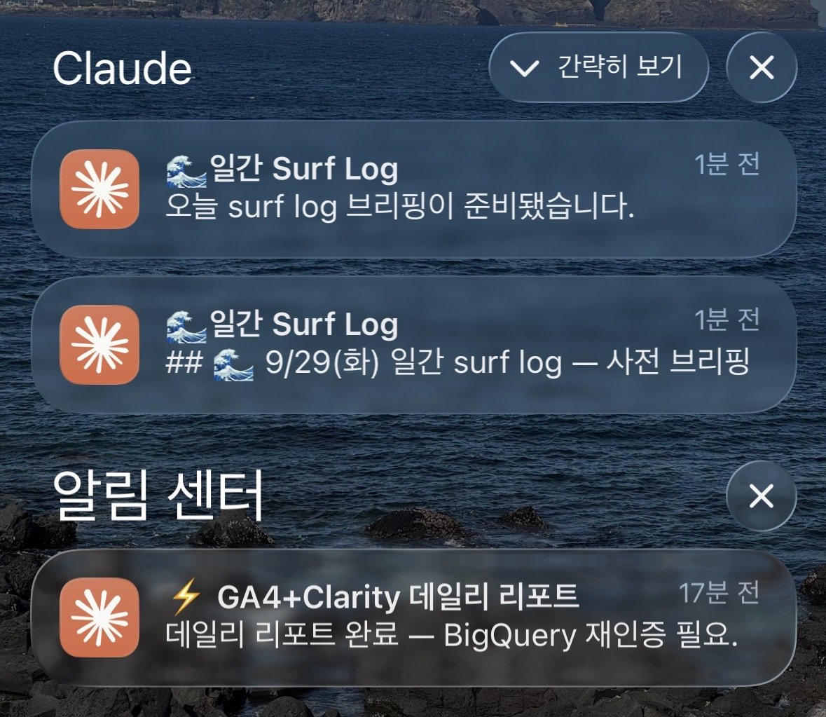 휴대폰에 도착한 리포트 알림 화면